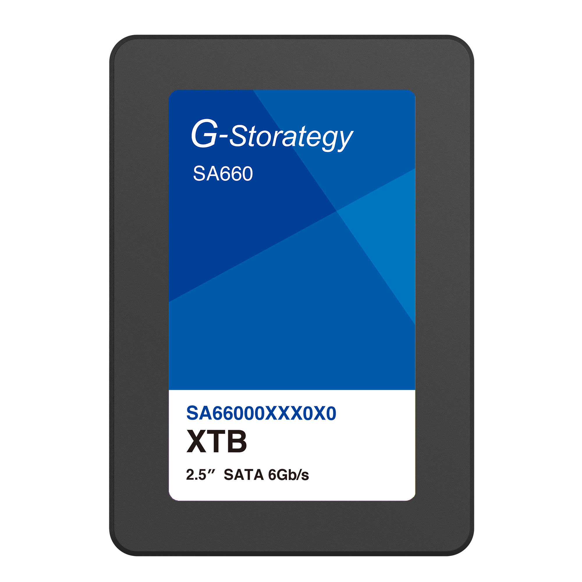 【SSD 1TB】G-Storategy SA660 SA66001TBY4G1