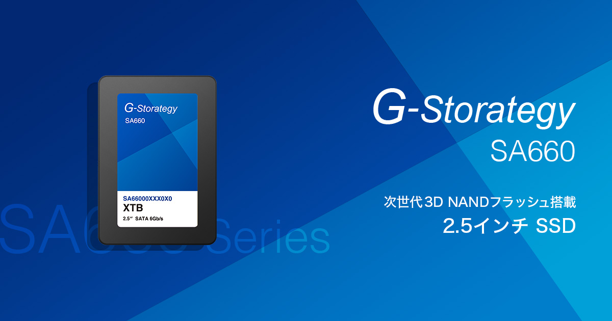 【SSD 1TB】G-Storategy SA660 SA66001TBY4G1